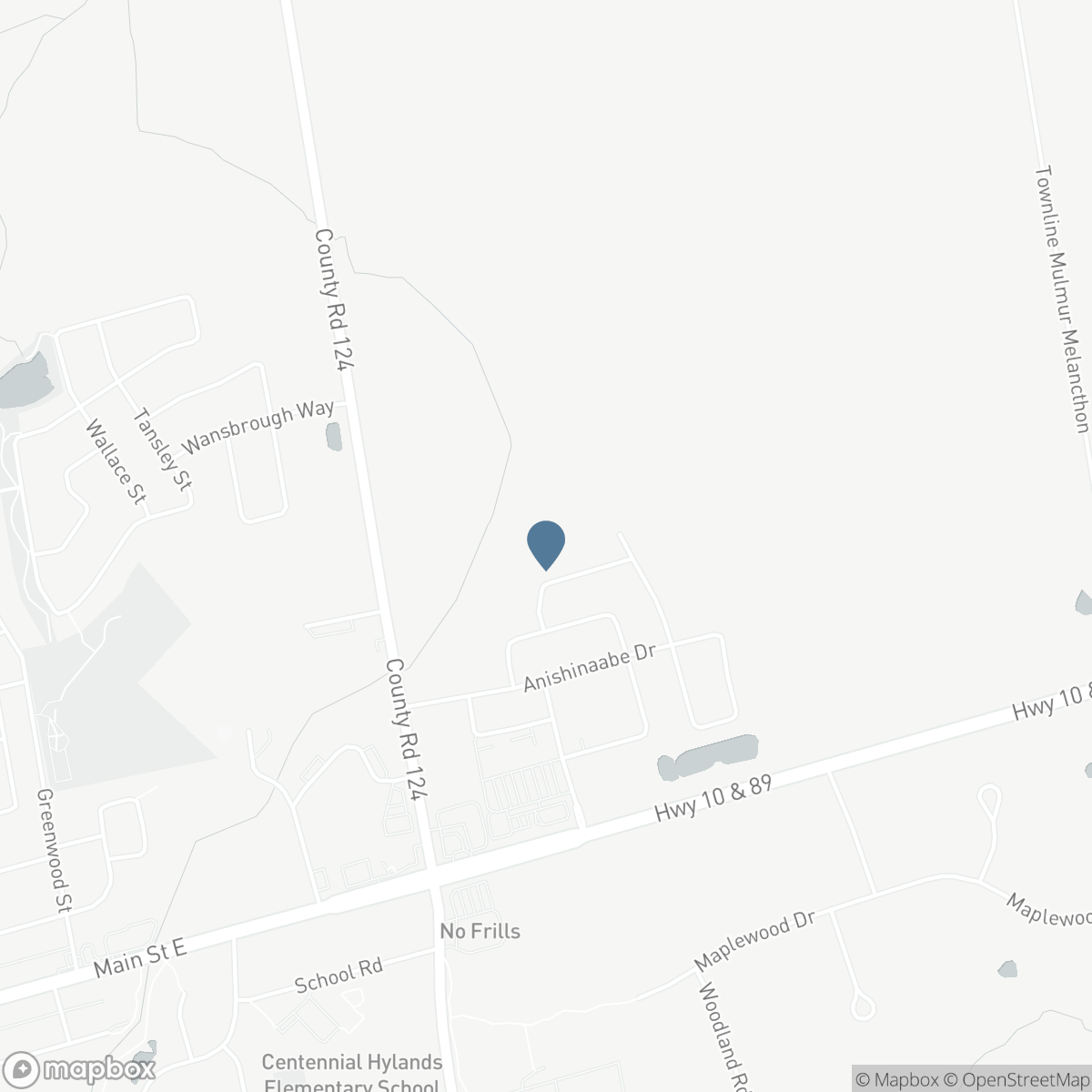 266 CHIPPEWA AVENUE, Shelburne, Ontario L9V 3Y2